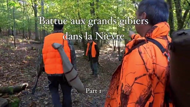 Chasse,Battues aux grands gibiers dans la Nièvre