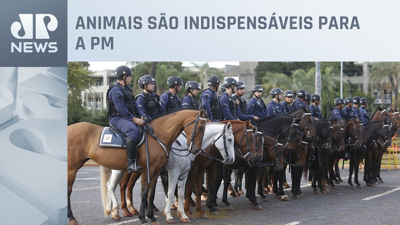 Conheça mais sobre a cavalaria da Polícia Militar do DF