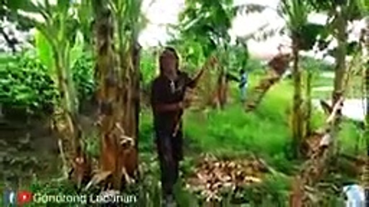 Plung Nyut Mancing ikan di sarang Tuyul