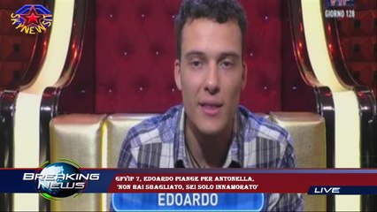 GFVip 7, Edoardo piange per Antonella,  'Non hai sbagliato, sei solo innamorato'