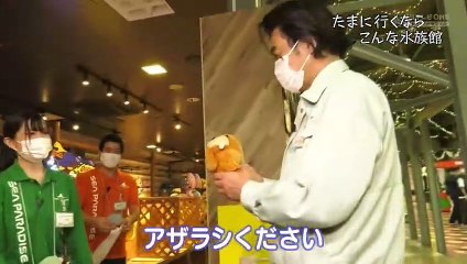 ゲームセンターcx 動画まとめ Của ゲームセンターcx Dailymotion