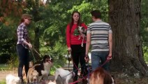 12 Dog Days Till Christmas | movie | 2014 | Official Trailer