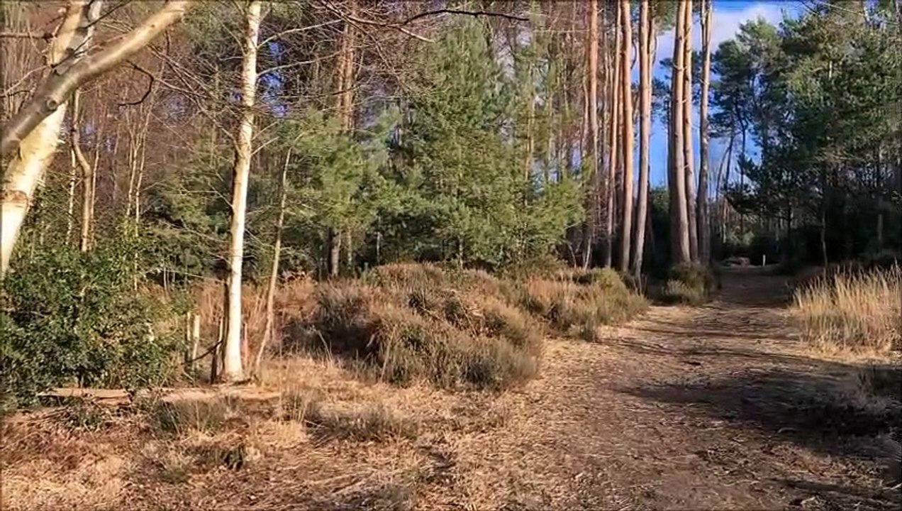 Horsham District Council closed the Middle Heath area of Owlbeech Woods to protect rare nesting birds
