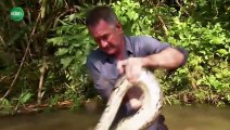 Ten Deadliest Snakes with Nigel Marven | show | 2014 | Official Trailer