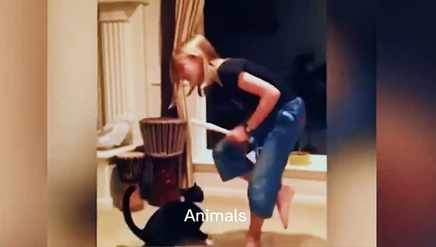 Best Funniest animals & Super cool animals | Funny dog and cat videos | funny and cute dogs & cats