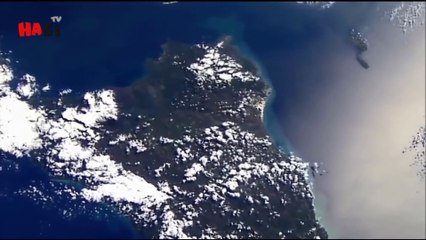 Mout k Baad Bhi Zinda Rahny waly Janwar  Urdu  Hindi | موت کے بعد بھی زندا رہنے والے جنور