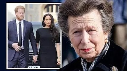 Il principe Harry e Meghan Markle potrebbero "imparare alcune lezioni" dalla principessa Anna