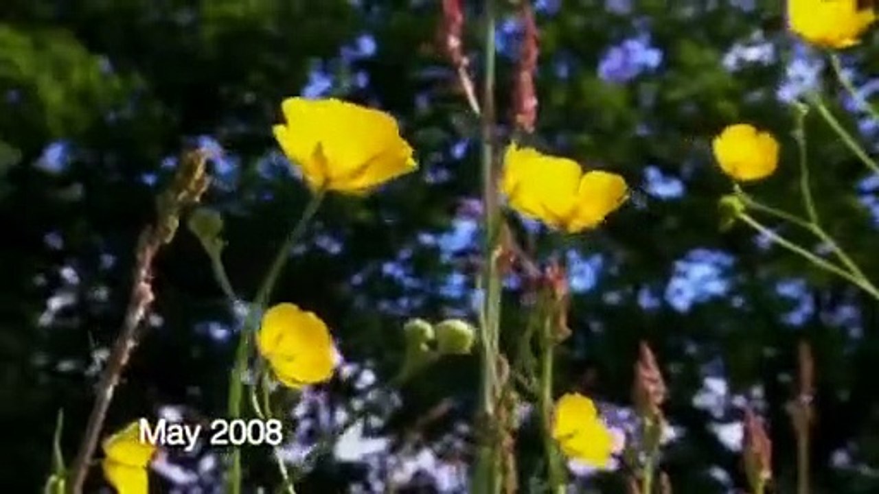 Grand Designs - Se9 - Ep07 HD Watch