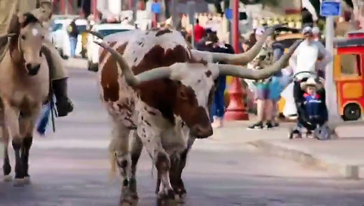 Texas Flip and Move - Se7 - Ep01 - Knotty Pine vs Chic Shack HD Watch