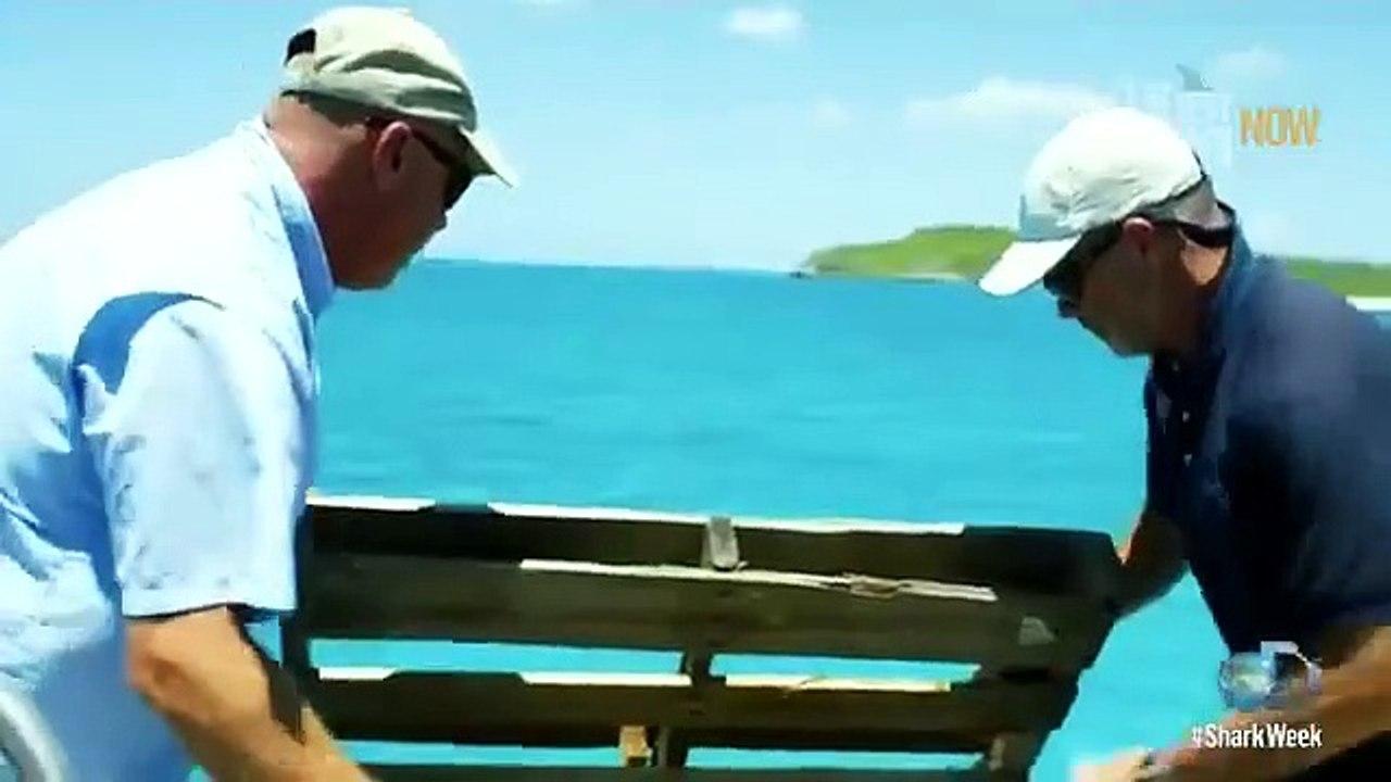 Shark Week - Se29 - Ep09 HD Watch