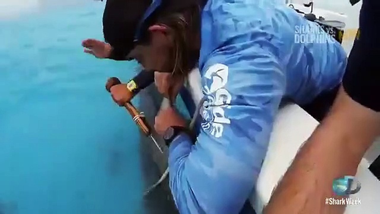 Shark Week - Se29 - Ep10 HD Watch