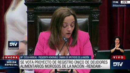 Descargar video: Diputados aprobó crear un Registro de Deudores Alimentarios y el alivio en Ganancias para los ingresos de médicos cuando superen cuatro guardias mensuales