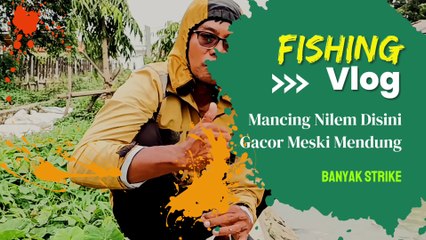 Mancing Nilem Disini Gacor Meski Mendung