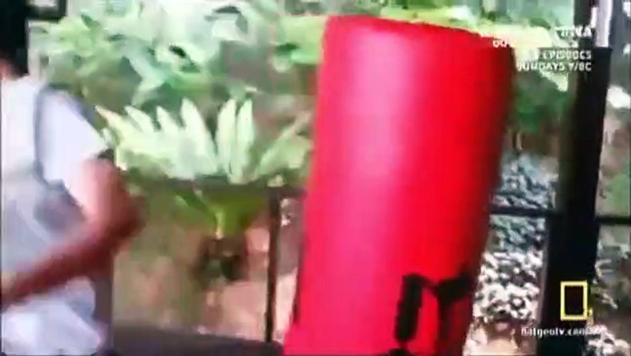 Science of Stupid - Se2 - Ep02 HD Watch