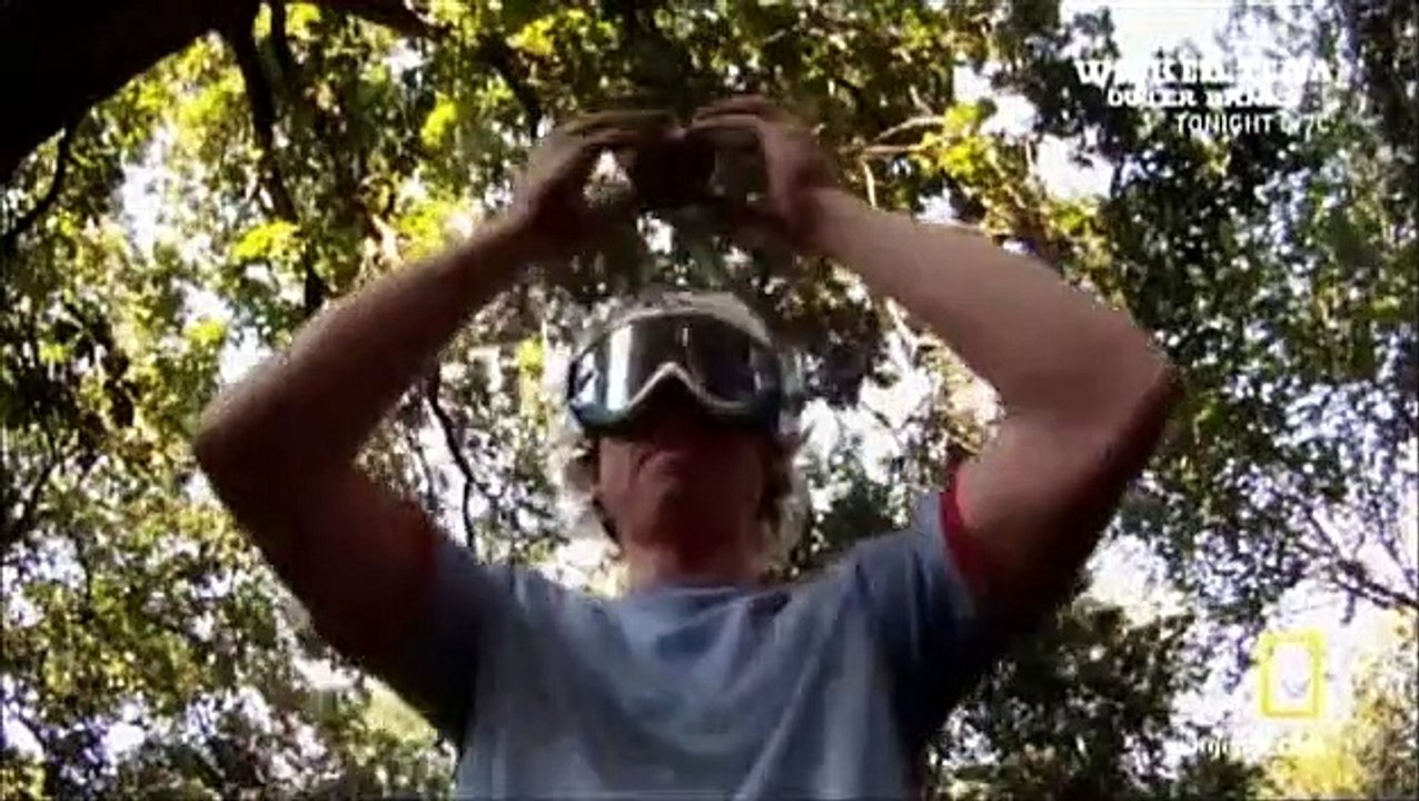 Science of Stupid - Se2 - Ep04 HD Watch