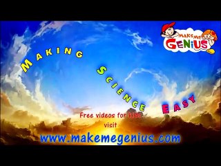 Chemical and Physical Changes