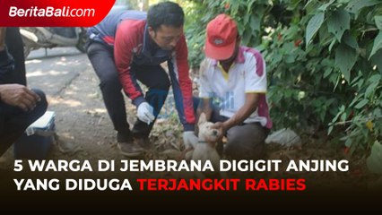 5 Warga di Jembrana Digigit Anjing yang Diduga Terjangkit Rabies