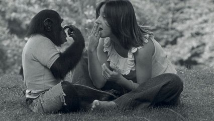 Project Nim (2011) | Official Trailer, Full Movie Stream Preview