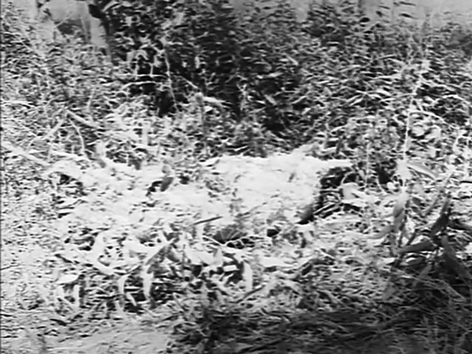 Fury - Se1 - Ep10 HD Watch