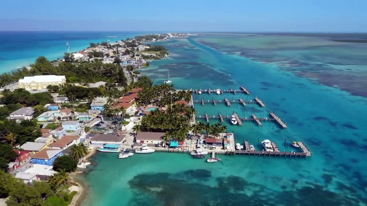 Shark Academy - Se1 - Ep03 HD Watch