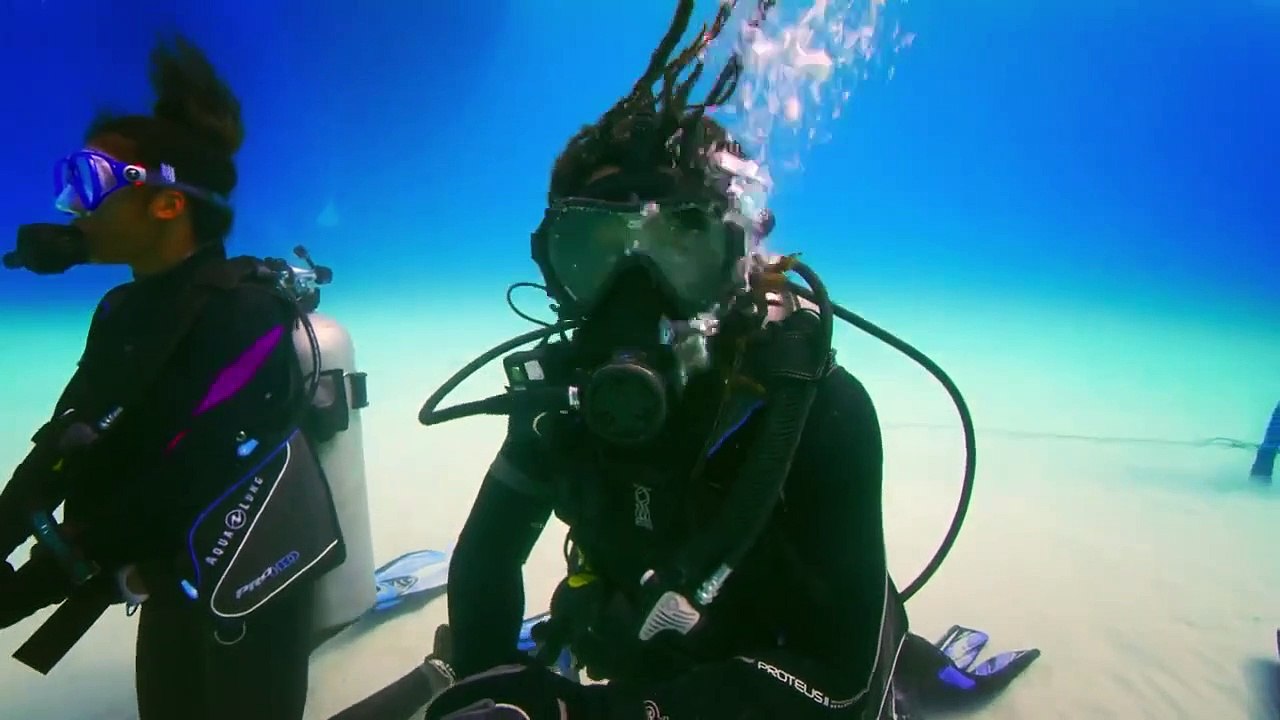 Shark Academy - Se1 - Ep05 HD Watch