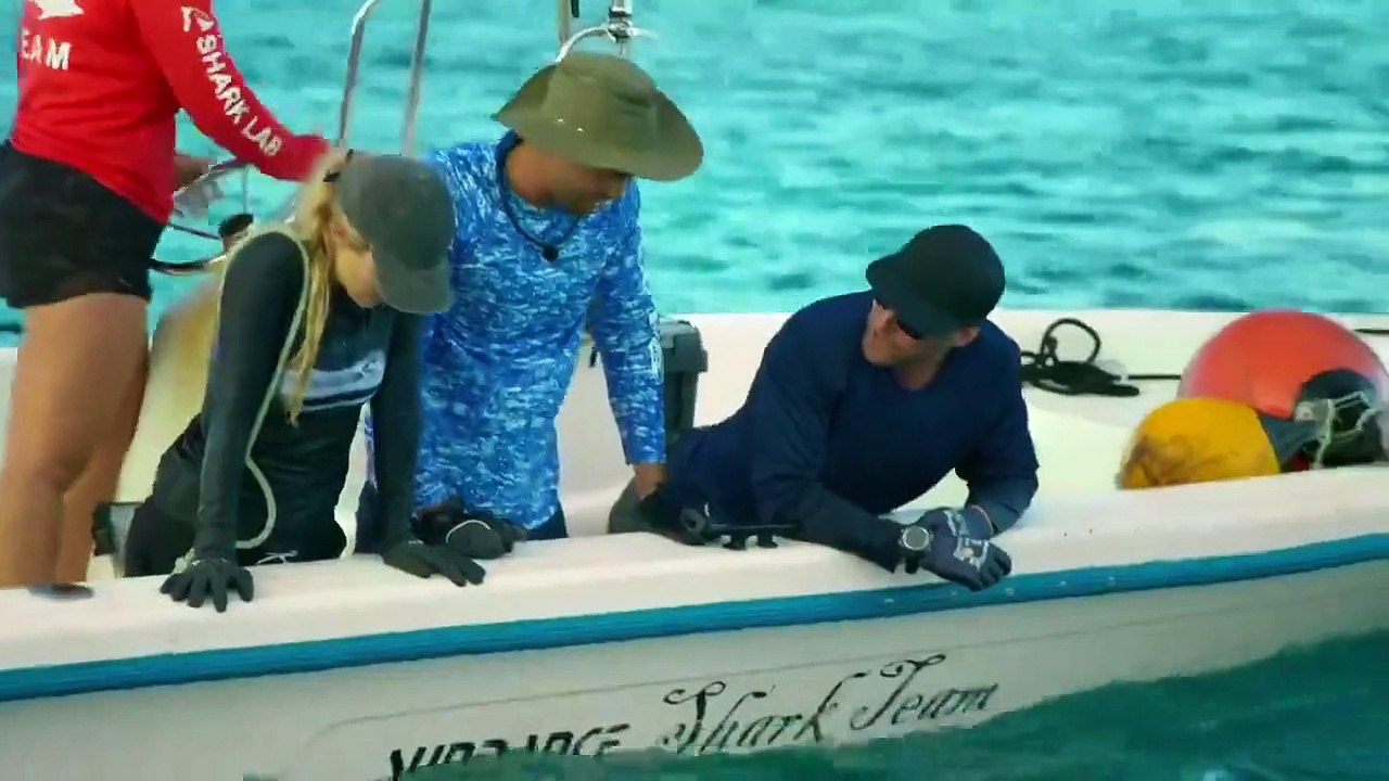 Shark Academy - Se1 - Ep06 HD Watch