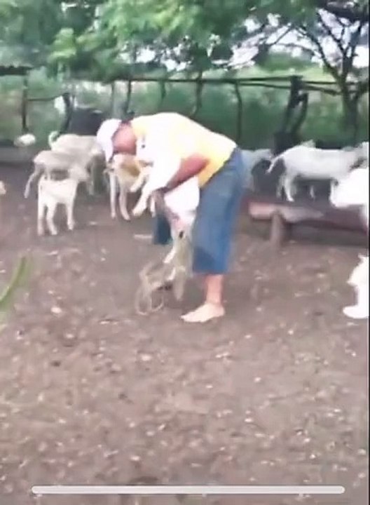 Funny video! short comedy video