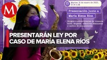 Presentarán la Ley Malena en la Ciudad de México