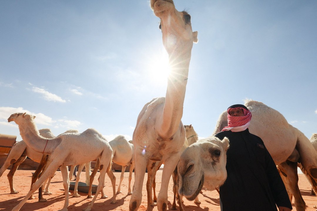 الحداء".. موروث شعبي أصيل انتقل من المحلية إلى العالمية بعد إدراجه على قائمة اليونسكو!