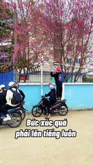 Clip: Nhóm bạn trẻ cố tình bẻ hoa Đà Lạt dù người dân đã nhắc nhở