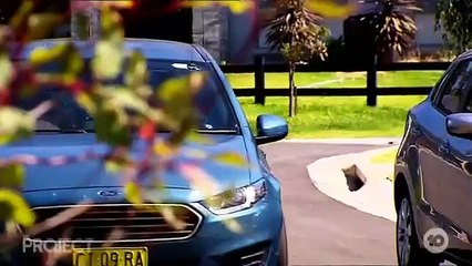 The Project - Se10 - Ep87 HD Watch