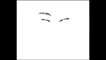 hanh midnight sky speeddraw