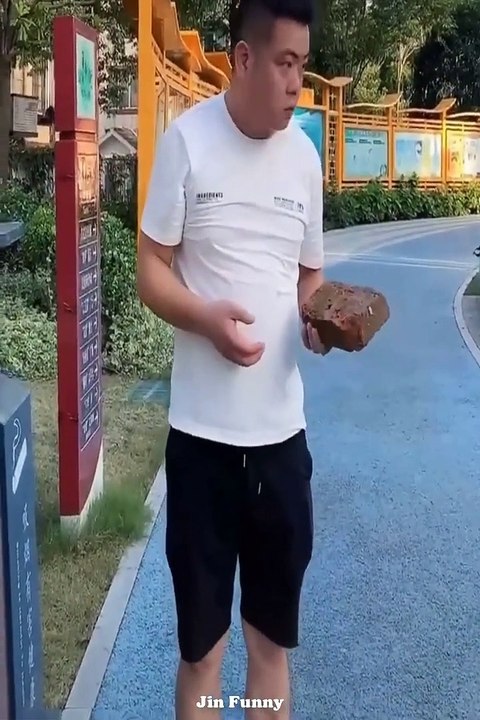 AWW NEW FUNNY  Funny Videos