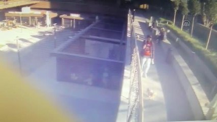 Şişli'de çalınan cins köpeği sahibine satmak isteyen 2 zanlı yakalandı