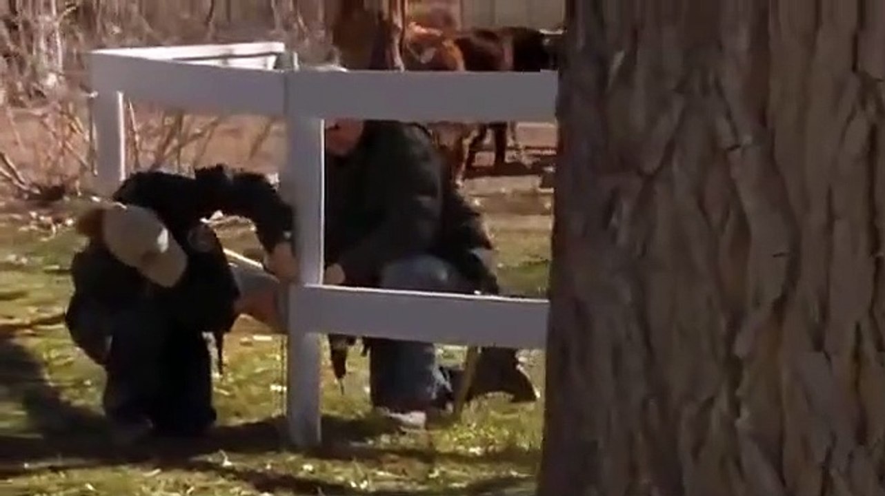 Wildfire - Se4 - Ep03 HD Watch