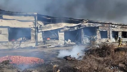 부산 강동동 농산물수출선별장에서 불...대응 1단계 발령 / YTN