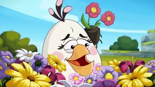 Angry Birds Toons - Se2 - Ep19 - Slow the Chuck Down HD Watch