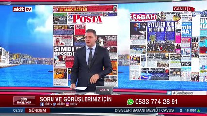 Türkiye'de sokak hayvanları ne durumda ve neden tartışılıyor ?