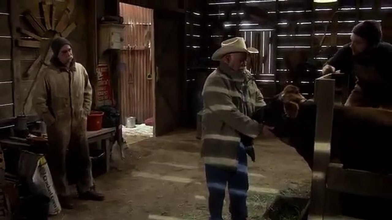 The Ranch (US) - Se2 - Ep11 - Learning to Live Again HD Watch