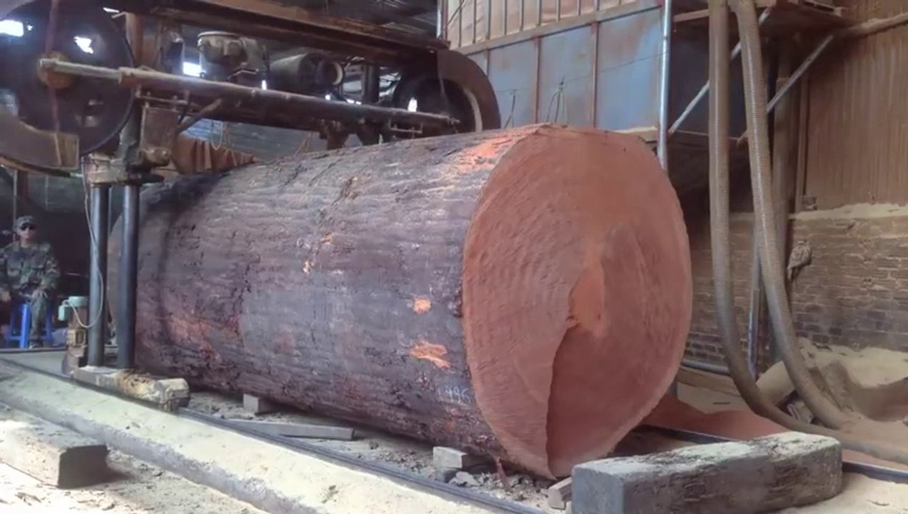 Amazing Biggest Woodworking Heavy Sawmill Cutting Wood - Excellent Sawmill Extreme Techniques