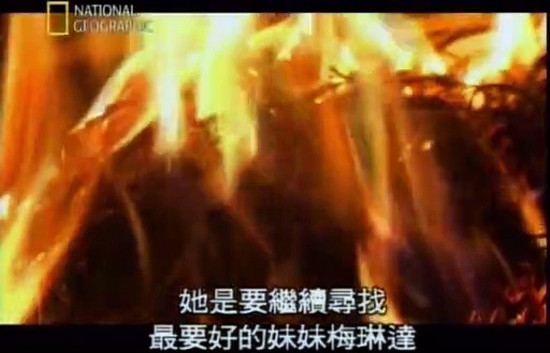 seconds-from-disaster-season-2-episode-08-disco-bombing-the-bali-bombing_360