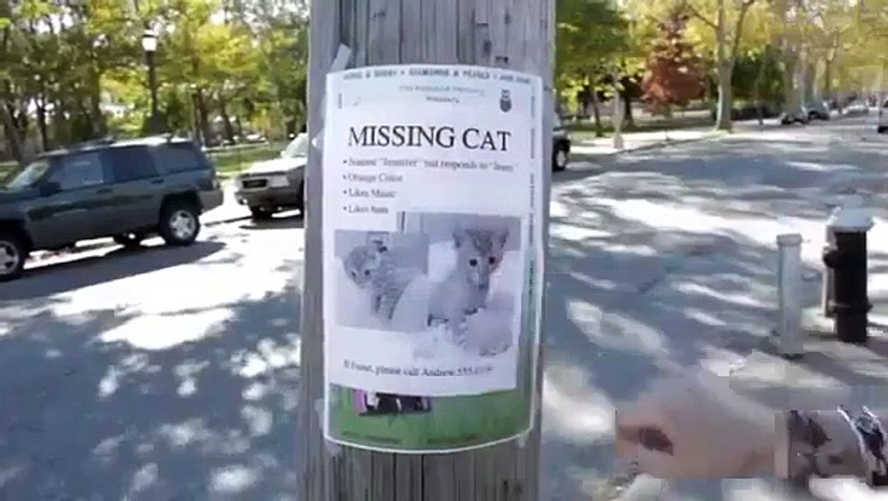 Portlandia - Se1 - Ep05 - Blunderbuss HD Watch