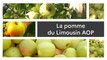 Un produit, un territoire : La Pomme du Limousin AOP