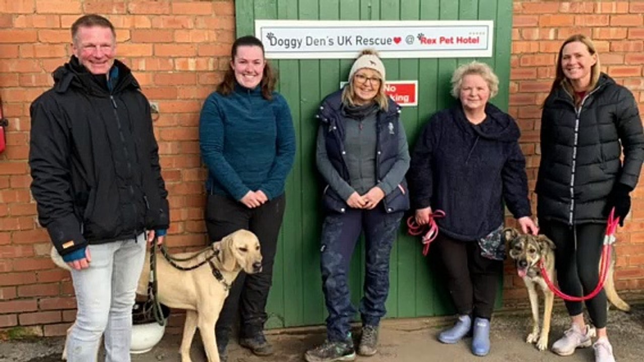 A look inside North Nottinghamshire's UK-wide rescue centre for dogs in need of a forever home