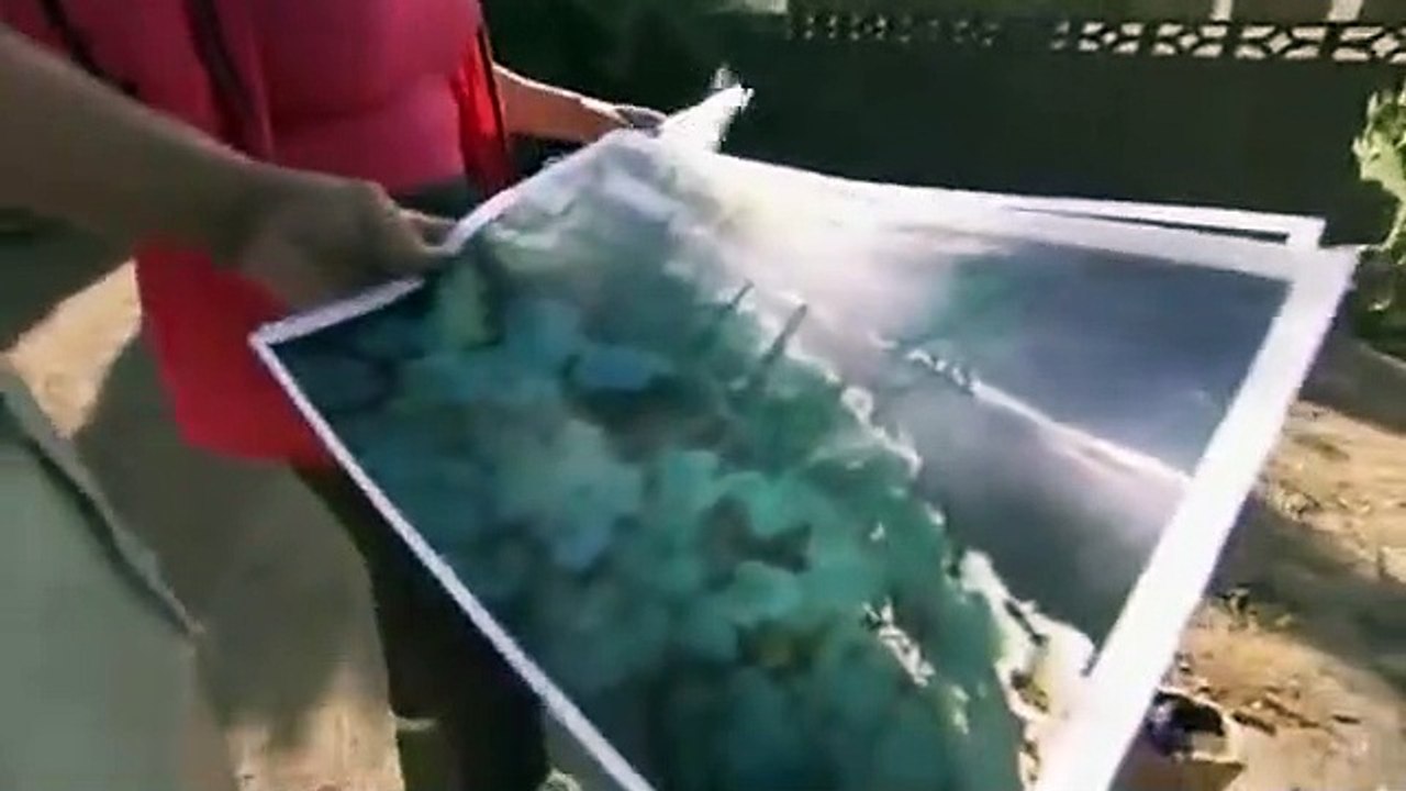 Dog Whisperer with Cesar Millan - Se7 - Ep04 HD Watch