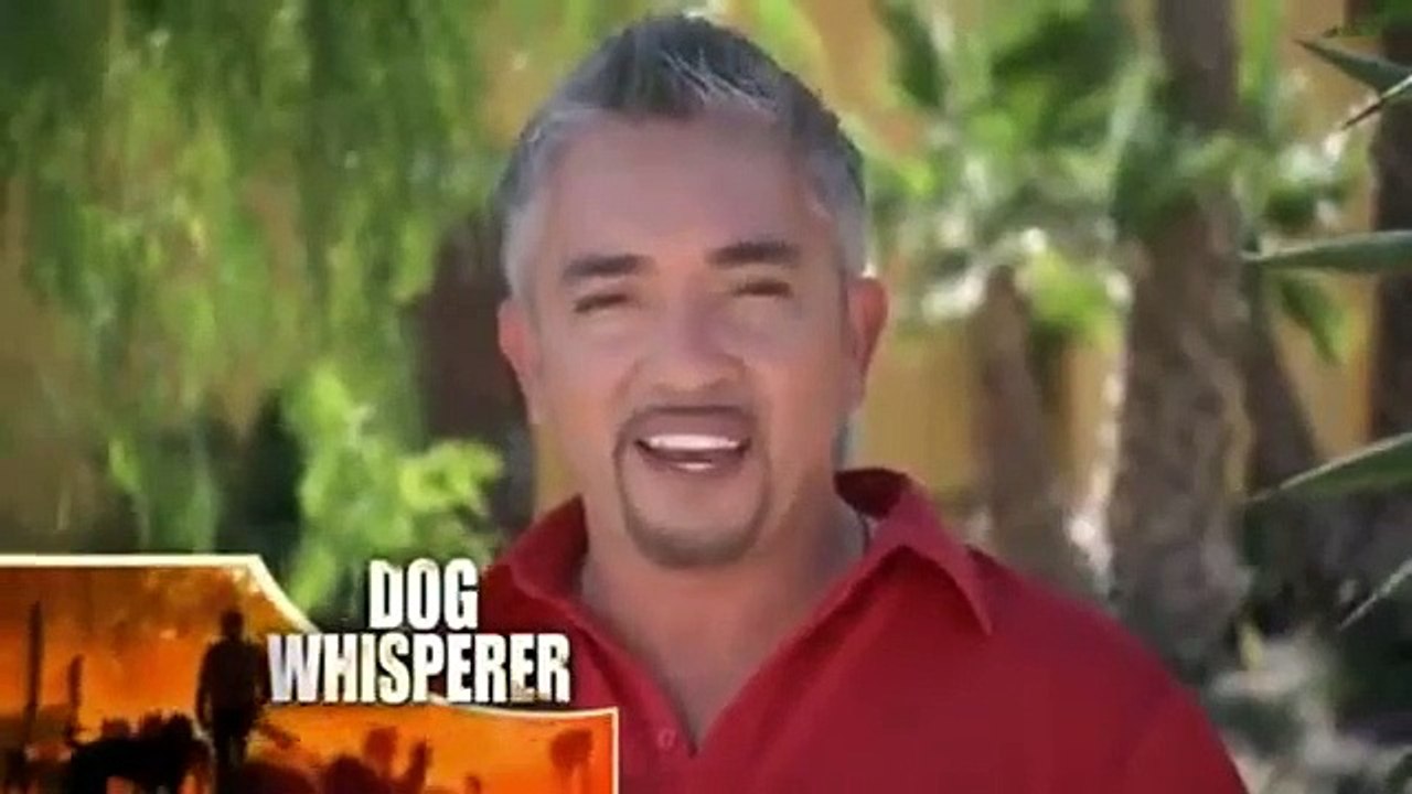 Dog Whisperer with Cesar Millan - Se7 - Ep09 HD Watch