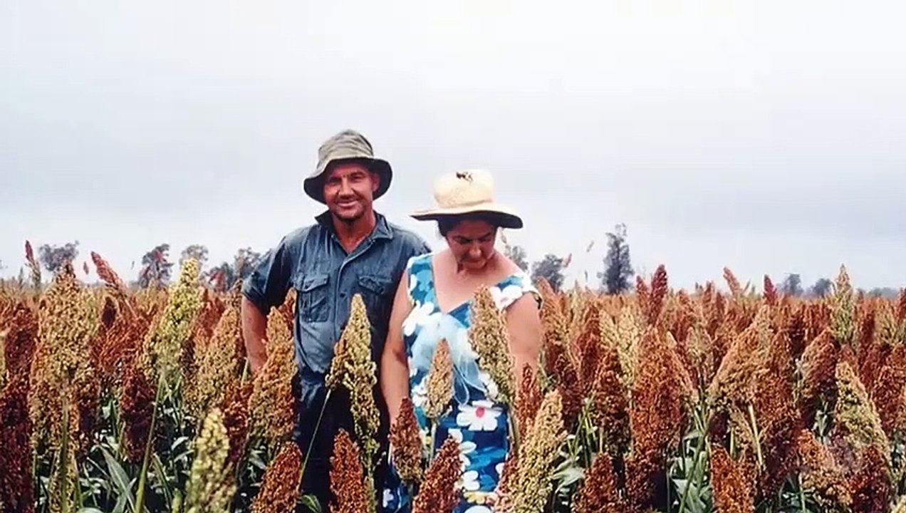 Anh's Brush with Fame - Se3 - Ep06 - John Williamson HD Watch