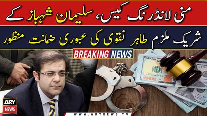 Co-accused Tahir Naqvi gets bail in Money Laundering Case