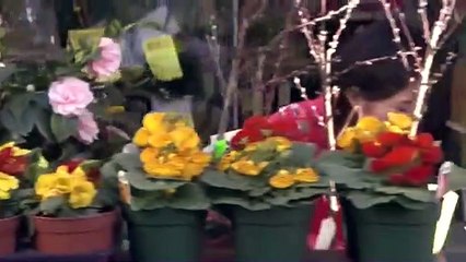 3 nen B gumi Kinpachi Sensei 5 - Se01 - Ep19 Watch HD