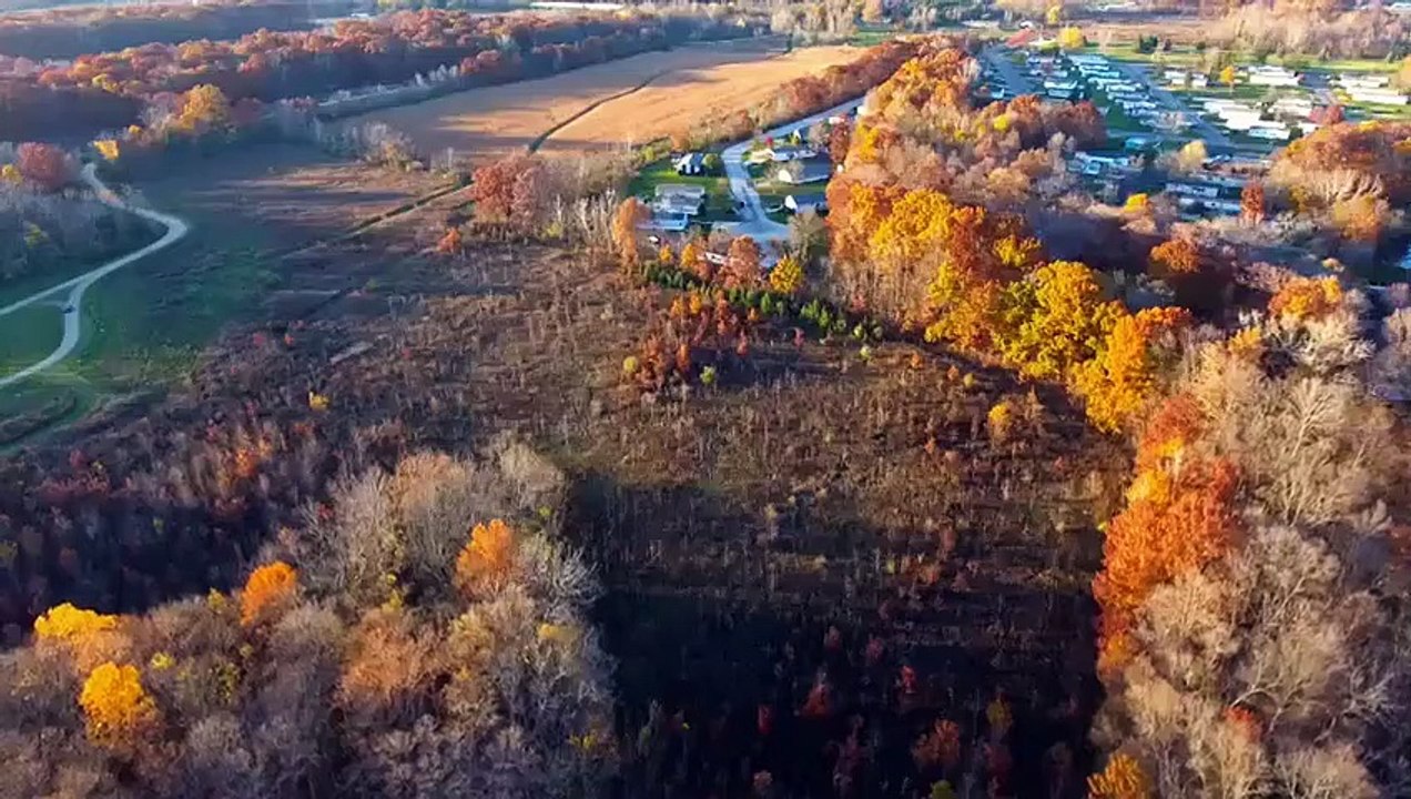 A Wedding and A Mur-'der - Se2 - Ep05 - Love Me and Never Leave HD Watch